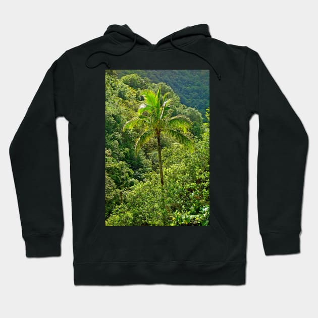 Iao Valley State Monument Study 3 Hoodie by bobmeyers